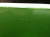 IMG-20130323-WA0001.jpg