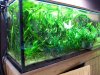 2013.04.28 -013.JPG
