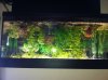 160L Aqarium.JPG