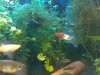 IMG-20130707-WA0036.jpg