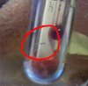 PicsArt_1373403839211-1.jpg