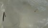 Pilze_03.jpg