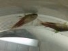 214.jpg