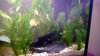 WP_20140118_005.jpg