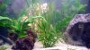 WP_20140118_006.jpg