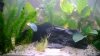 WP_20140118_007.jpg