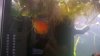 WP_20140124_006.jpg