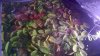 WP_20140124_010.jpg