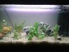 Aquarium_3.jpg