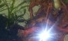 20140226_142030.jpg