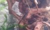 IMG-20140226-WA0005.jpg