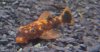 20140303_115125.jpg