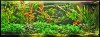 Aquarium8-3-14mini.jpg