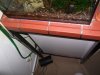 DSCF1585.JPG