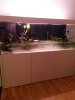 Becken3.jpg