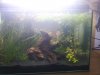 20140320_162750.jpg