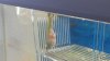 20140328_150937.jpg