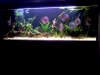 20140619_214322.jpg