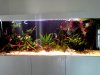 20140619_185808.jpg