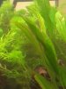 IMG-20140705-WA0005.jpg
