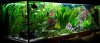 aquarium1.jpg
