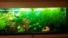 Aquarium 2.jpg