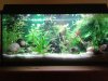 Aquarium.jpg