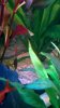 WP_20150311_006.jpg
