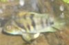 DSCI0003a2.jpg