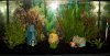 Aquarium.JPG