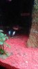 IMG_20151010_183441.jpg