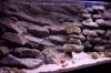 100_5207.JPG