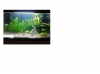 Aquarium.png