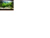 Aquarium 2.png