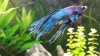 IMG-20160119-WA0006.jpg