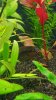 20160126_184240-768x1365.jpg