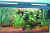 DSC04699.JPG