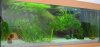 DSC_0017 - Kopie.JPG