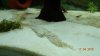 DSC07574.JPG