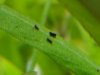 rps20160526_194025.jpg