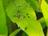 rps20160526_194055.jpg