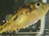 20160529_145224.jpg