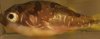 20160529_145318.jpg