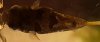 20160529_145350.jpg