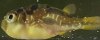 20160529_145249.jpg