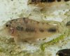 20160529_162804.jpg