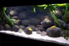 100_5057.JPG