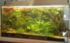2016-04-Aquarium.jpg