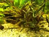 IMG-20170222-WA0001.jpg