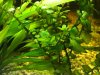 IMG-20170222-WA0000.jpg